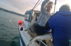 Морская рыбалка в Баренцевом море